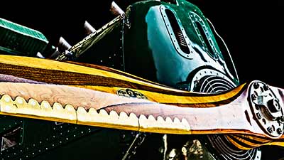 S-2541-285-Copyright_SteveThornton