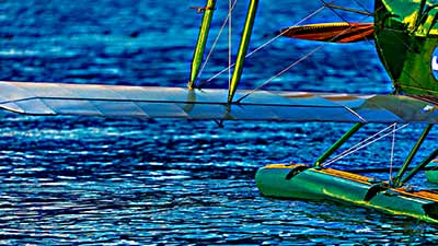 S-2561-250-Copyright_SteveThornton